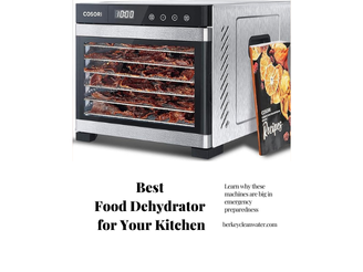 Best Food Dehydrator for Your Kitchen