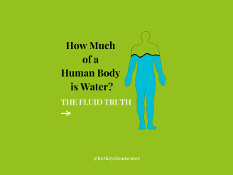 how many percent of water in human body