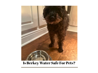 Is Berkey Clean Water Safe For Pets?