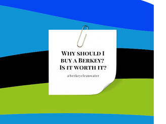 Are Berkey Filters Worth It?