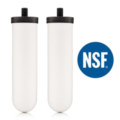 berkefeld filter nsf